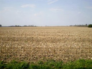 Intensive Grain Crop Farm.  276 acres.  Very productive farm.  Has excellent natural drainage.  Owners have signed lease for wind power development.
Possession is at closing.
High School - Monroe Central High School
Electric Source - AEP  - 276 Acre Intensive Grain Crop Farm